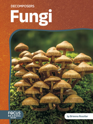 cover image of Fungi